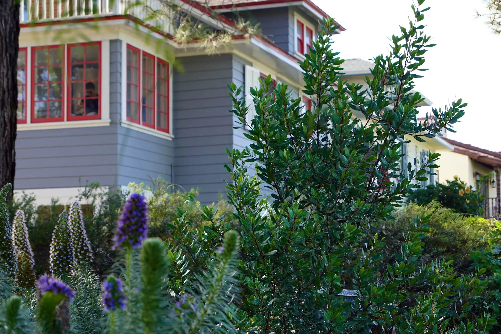 painting tips ideas paint now wny